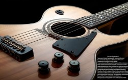 吉他介紹圖，吉他介紹圖片結(jié)構(gòu)圖